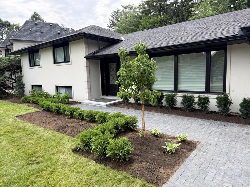 Newly finished front grounds at a modern white and black house — clipped boxwood, fresh mulch beds and a herringbone paver drive.