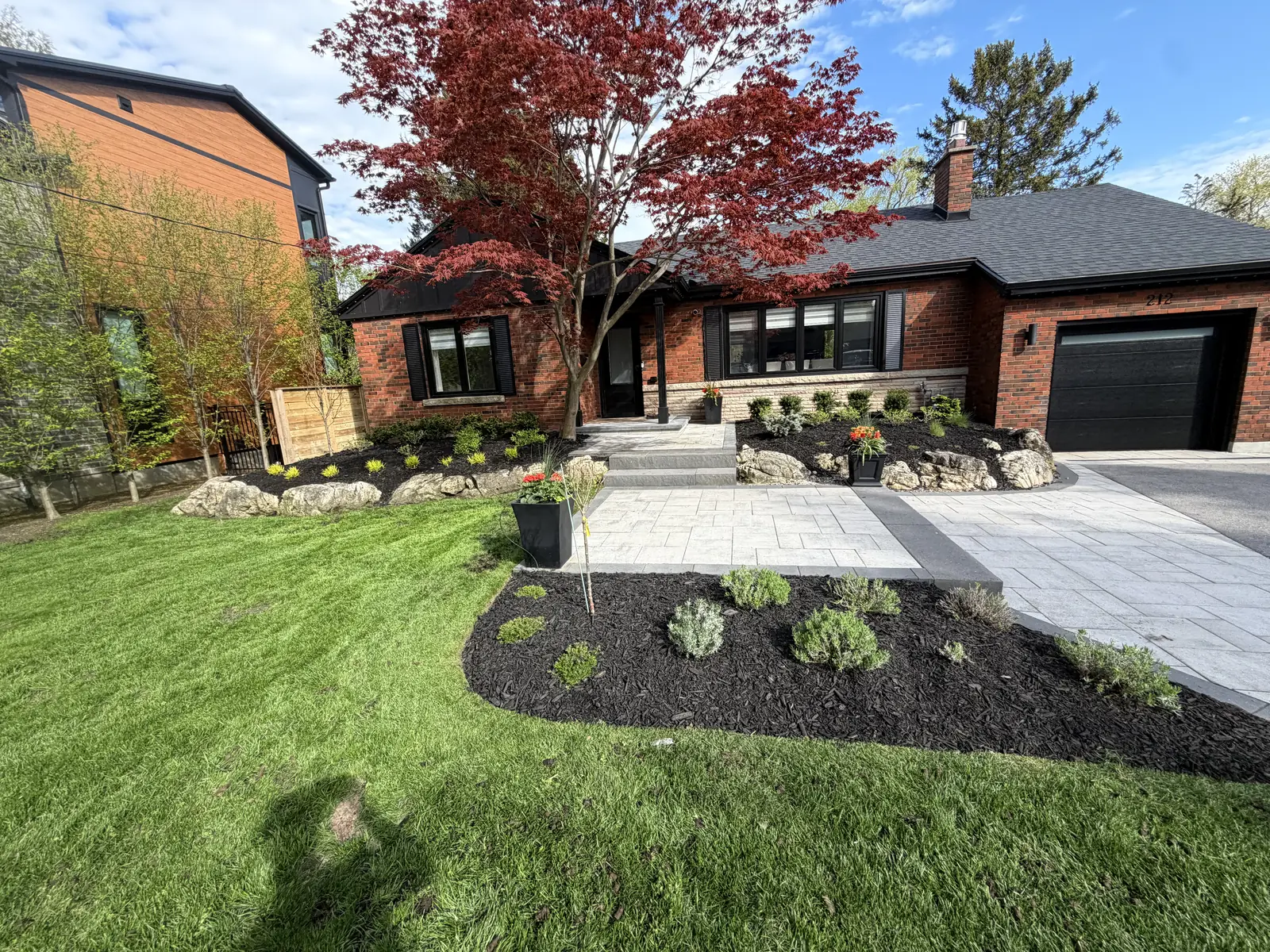 Finished front entrance in large-format grey pavers with a charcoal border, boulder-set beds and a Japanese maple.