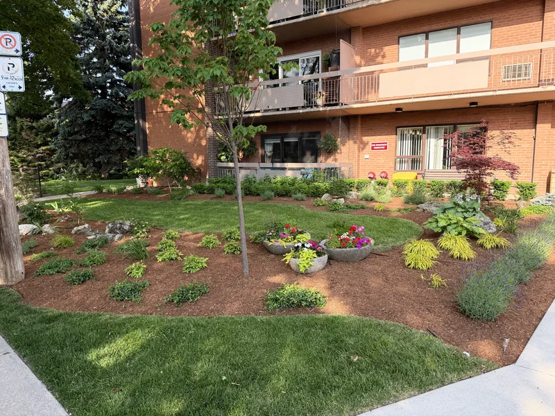 Mature commercial planting beds with hostas and annuals, freshly mulched and edged against clipped lawn.