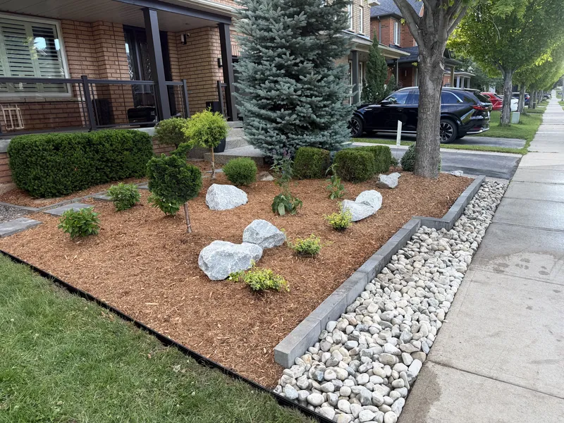 Front bed from the street, spruce and clipped shrubs among boulders.