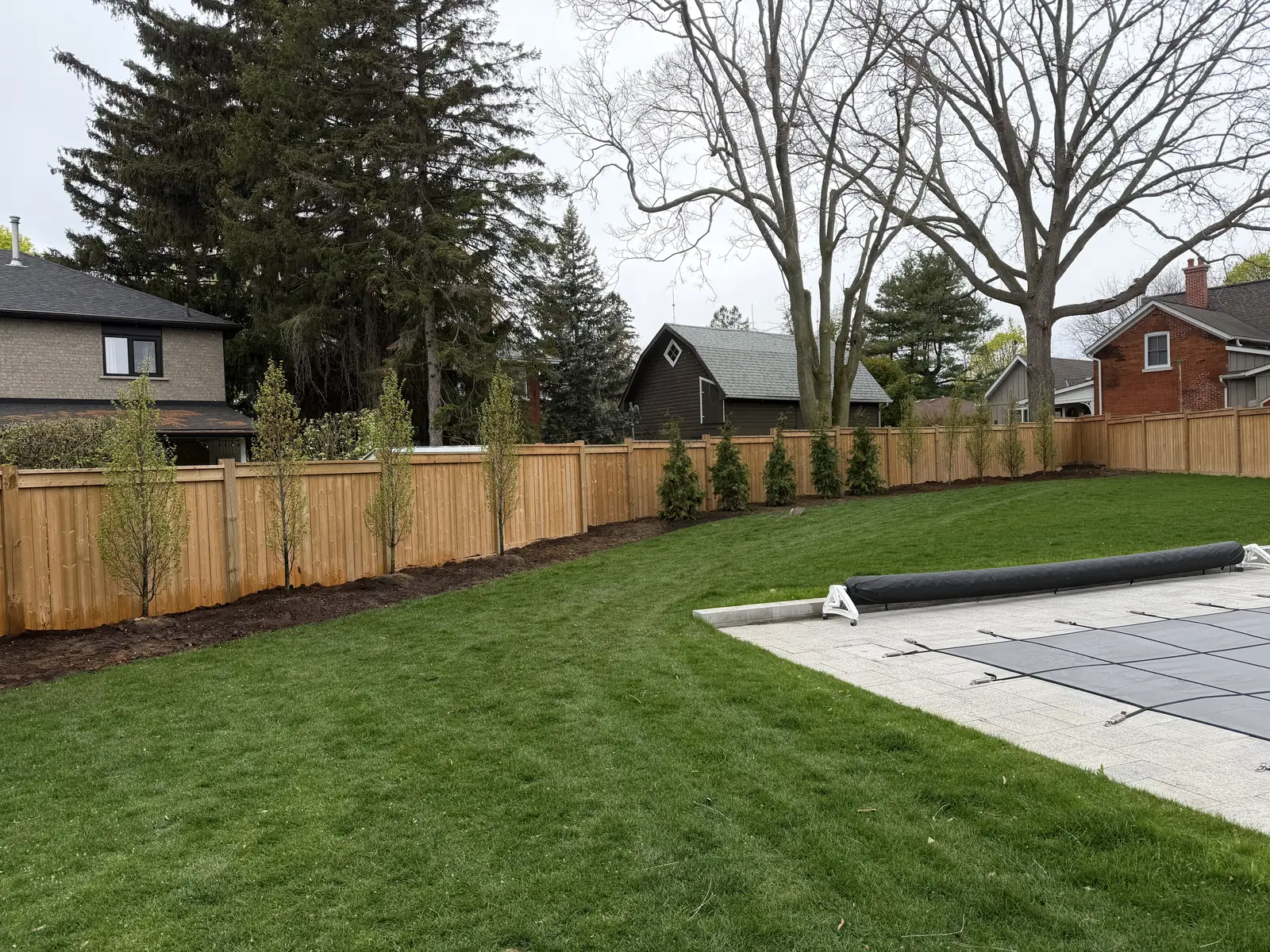 Finished hedging planted the length of a property, freshly mulched beds beneath.