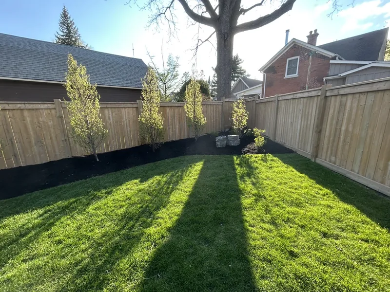 New lawn running to a cedar hedge along the back fence.